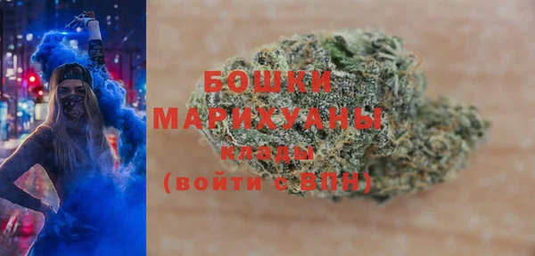 индика Аркадак