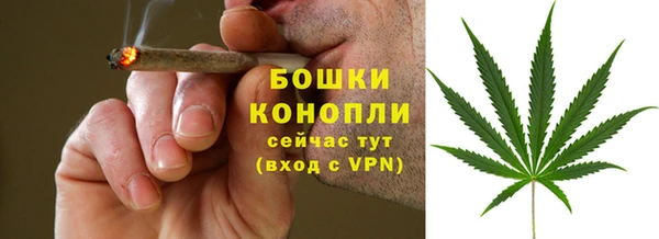 дурь Новозыбков
