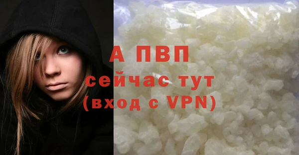 индика Аркадак