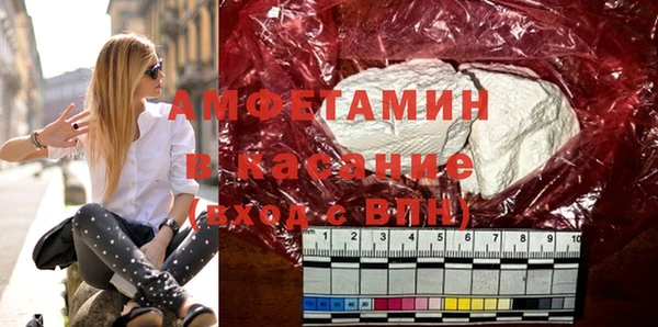 индика Аркадак