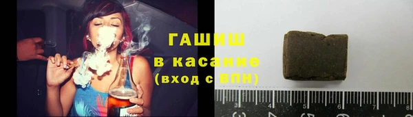 индика Аркадак