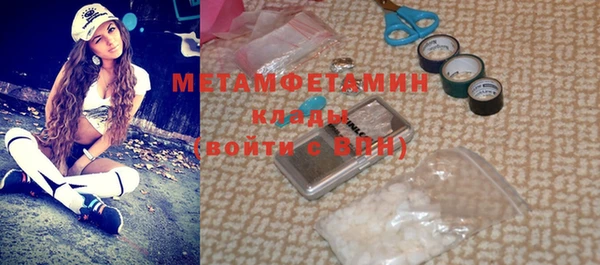 индика Аркадак