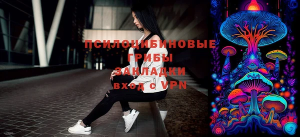 индика Аркадак
