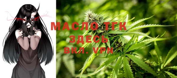 индика Аркадак